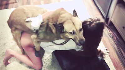 Zoo horse porn: mature dog sex