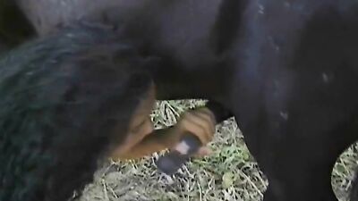 Bestiality porn: animal porn zoosex