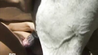 Girl playing dog: bestiality vids