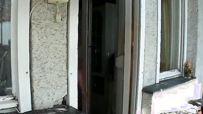 Dog gay porn: dog sex lick pussy