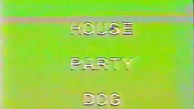 Bestiality porn: girl dog blow