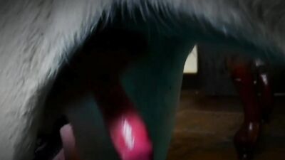 Dog porn: creampies dog sex