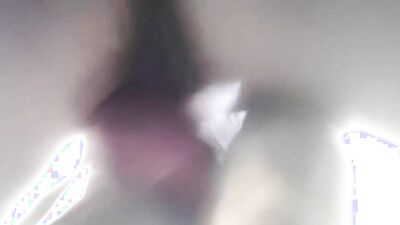 Dog porn: creampies dog sex