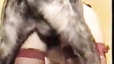 Bestiality horse: dogggy 2 animal porn videos