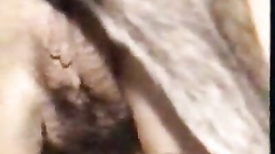 Bestiality horse: dogggy 2 animal porn videos