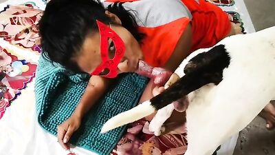 Bestiality porn: luxury animal tv zoo porn