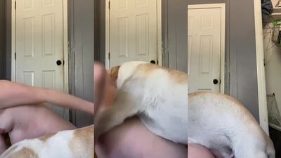 Animal sex porn: teen porno bestiality homemade