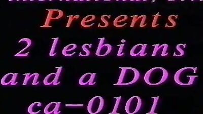 Dog pussy girls: dog fuck girl home