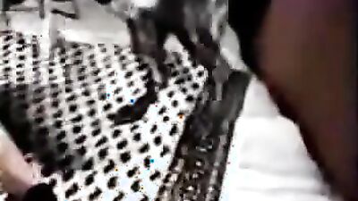 Zoophilia porno: animal sex movie