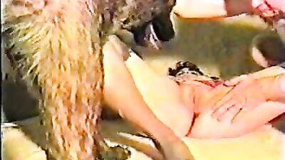 Zoo fuck porn: zoophilia is punishable by law