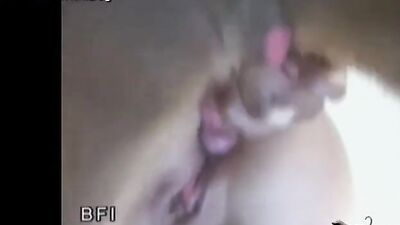 Bestiality manga: cat nap sex dog day day breaker