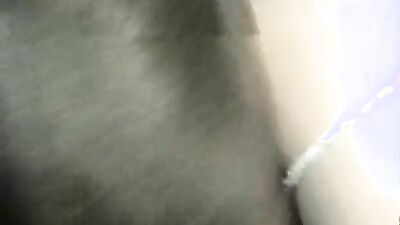 Girl dog video: best dog sex porn