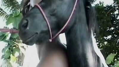Dog teen girls: mom dogs sex