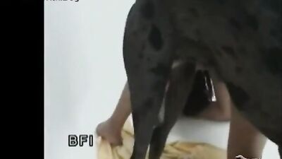 Best dog girl: 3d shota sex zoo boys