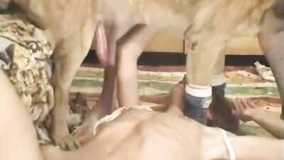 Dog porn: homemade bestiality wife real