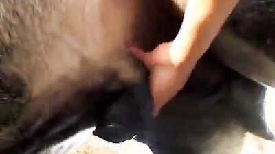 Dog girl: films zoophilia outdoor