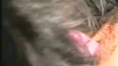 Girl playing dog: zoo videos 9