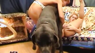 Bestiality video: zoo porn dog dick