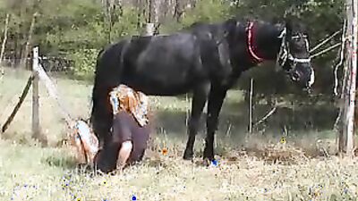 Bestiality comics: live zoo sex