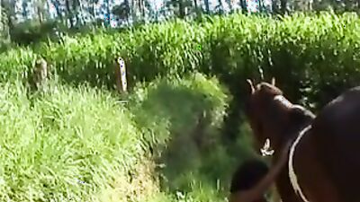 Bestiality horse: sex tits dog