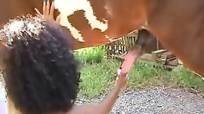Bestiality horse: sex tits dog