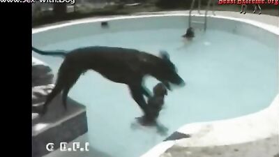 Bestiality porno: girl and boar bestiality porno stories