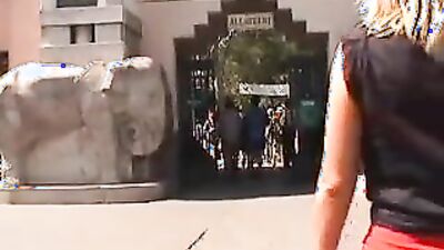 Bestiality: little zoo porn