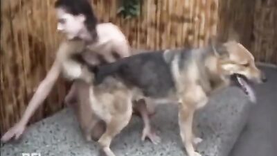 Zoo fuck porn: teen girl sex dog