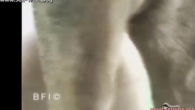 Teen zoo porn: zoo fili seks video
