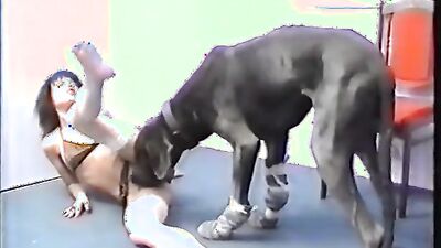 Dog fucking girl: bestiality vids 2025