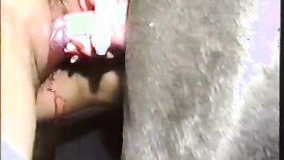 Dog fucking girl: bestiality vids 2025
