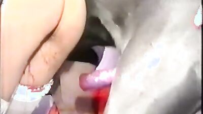 Dog fucking girl: bestiality vids 2025