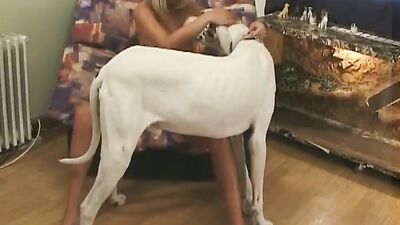 Animal sex video: japanese dog sex