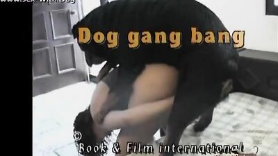 Russian zoo porn: porn bestiality horse