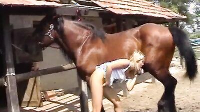 3d dog porn: first time zoo sex