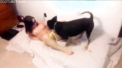 Zoo dog porn: 18 zoo porn