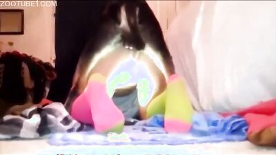 Zoo dog porn: 18 zoo porn