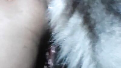 Girl having dog: lady and dog sex