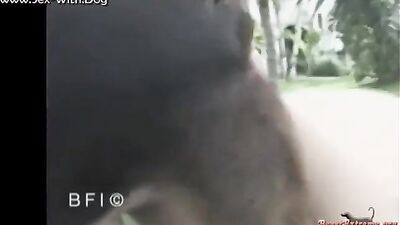 Girl having dog: shizuka ntr pig bestiality