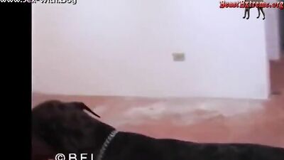 Dog girl play: tic zoo porn