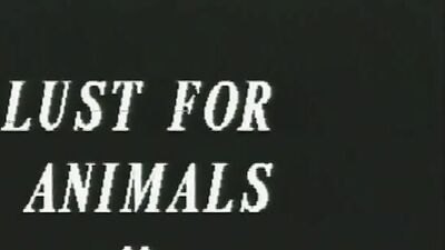 3d dog sex: men zoo porn video