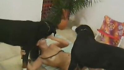 Animal dog sex: homemade dog sex