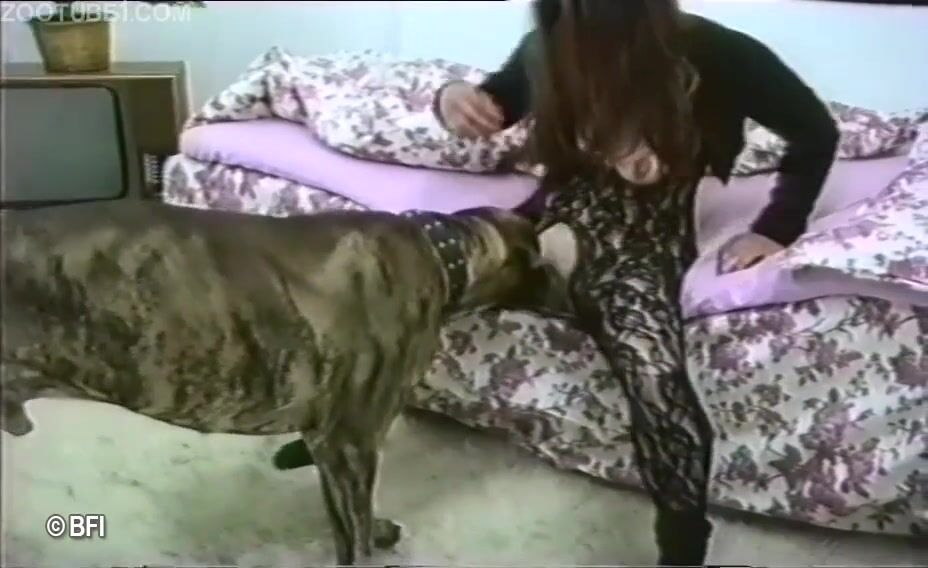 Bestiality horse: cute girl dog porn