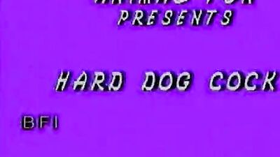 Dog pussy girls: teen girl fuck dog homemade