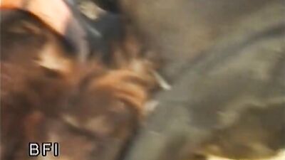 Zoo porn: chessy moore dog sex porno