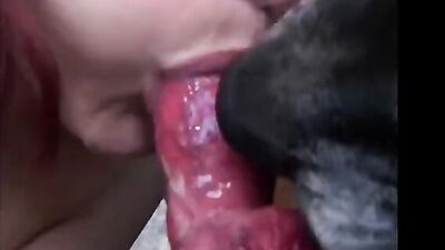 2 dogs 1 girl: sexlab animal sex