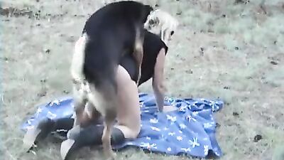 Animal dog sex: zoodog porn little dog