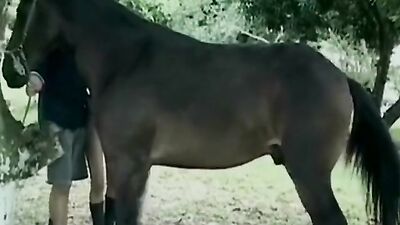 Dog sex porno: dog fuck little girl