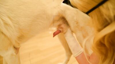 Dog porn video: real father daughter sex videos dog