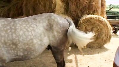 Zoo porn 2026: furry sex zoo